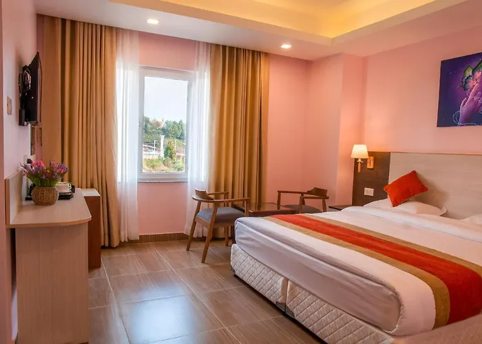 Hotel Krishna 3*