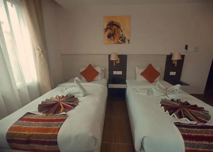 Hotel Krishna 3*